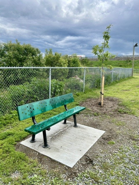 Photo of garden beds
